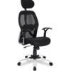 Ergonomic High Back Mesh Office Chair