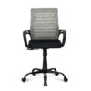 Nilkamal Giza Mid Back Office Chair